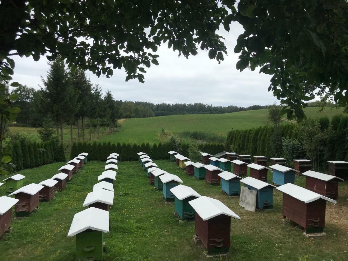 Radzewicz Holiday park *